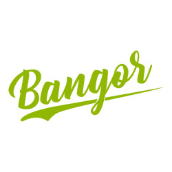 BURGER BANGOR